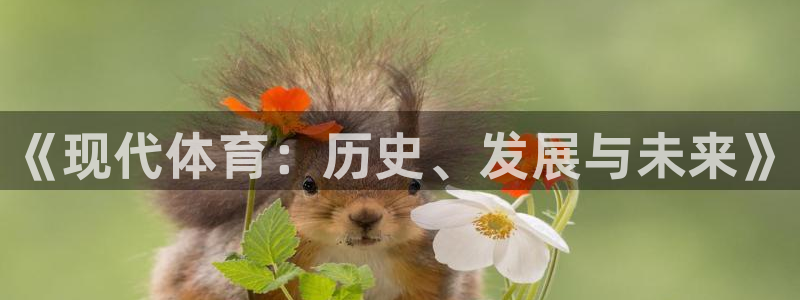 凯发官网下载平台注册要钱吗安全吗:《现代体育:历史、发展与未