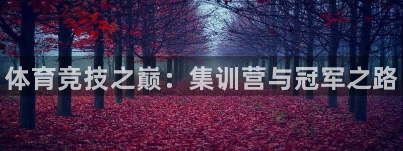 凯发官网下载招商电话号码是多少啊:体育竞技之巅:集训营与冠军