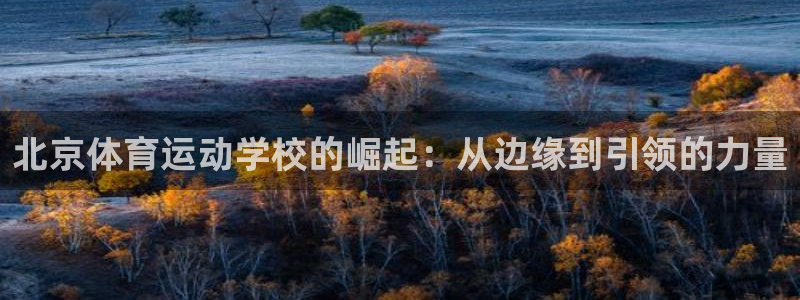 凯发官方正版app集团logo:北京体育运动学校的崛起:从边