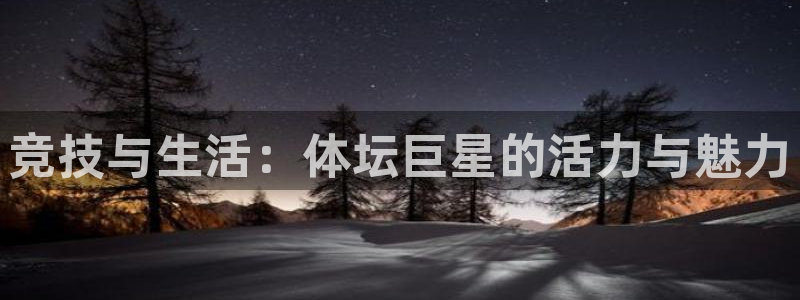 凯发官网下载软件:竞技与生活:体坛巨星的活力与魅力