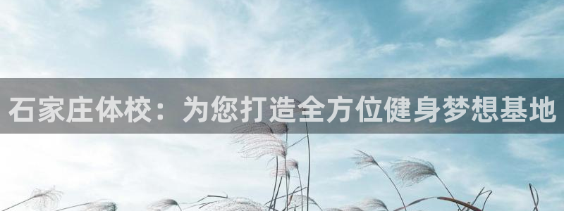 凯发官方正版app科技:石家庄体校:为您打造全方位健身梦想基